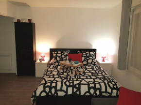 Appartement centre ville proche Paris Disney Vincennes transports